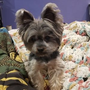 Meet your Posher, Nilsa